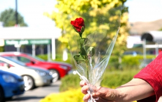 Hawkes Bay Florist