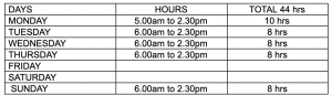 Jobs Hawkes Bay